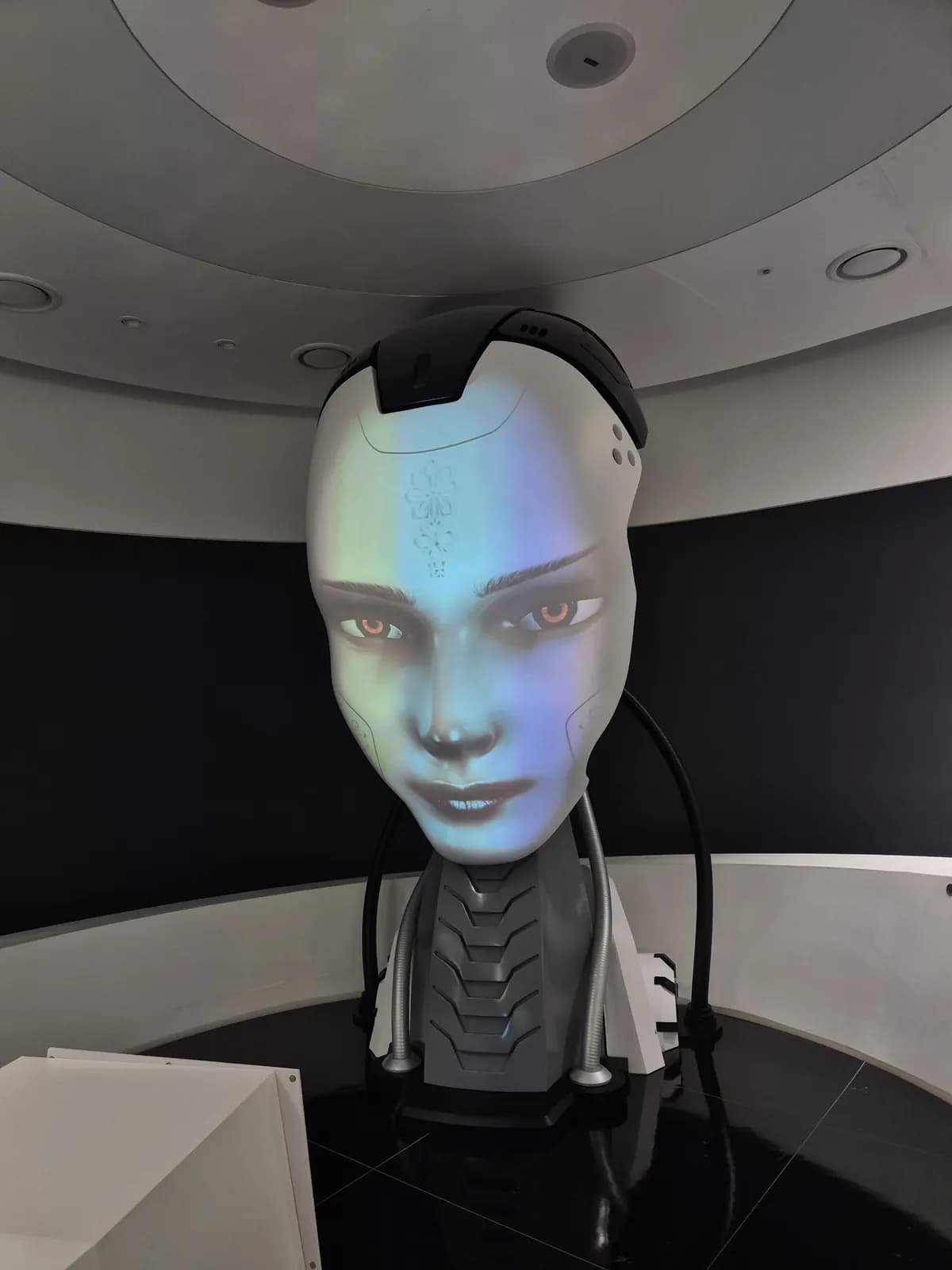 La cabeza de un robot humanoide con cara