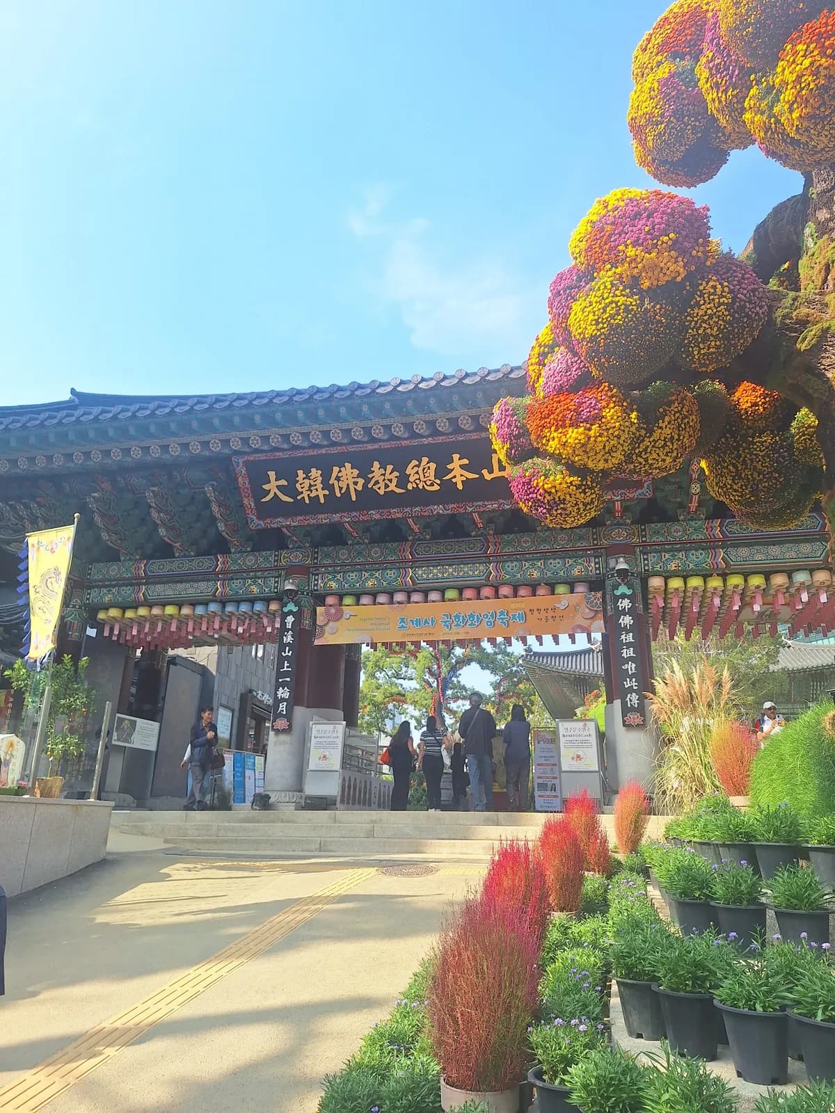 국화로 장식된 조계사 입구
